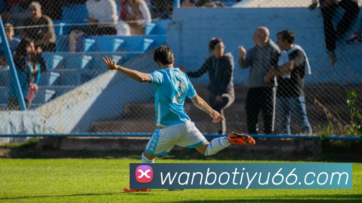 万博体育平台生态图